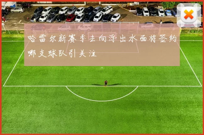 哈雷尔新赛季去向浮出水面将签约哪支球队引关注