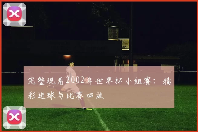 完整观看2002年世界杯小组赛：精彩进球与比赛回放