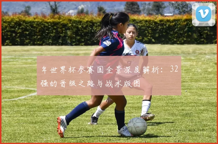 年世界杯参赛国全景深度解析：32强的晋级之路与战术版图