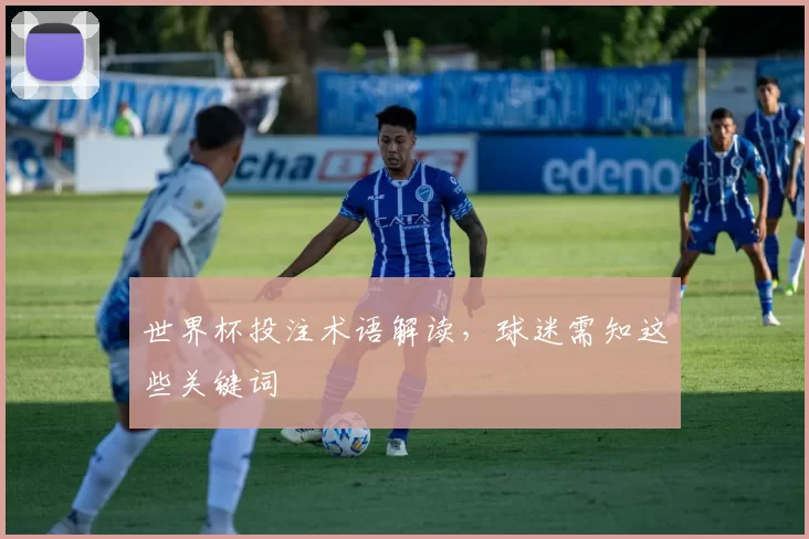 世界杯投注术语解读，球迷需知这些关键词