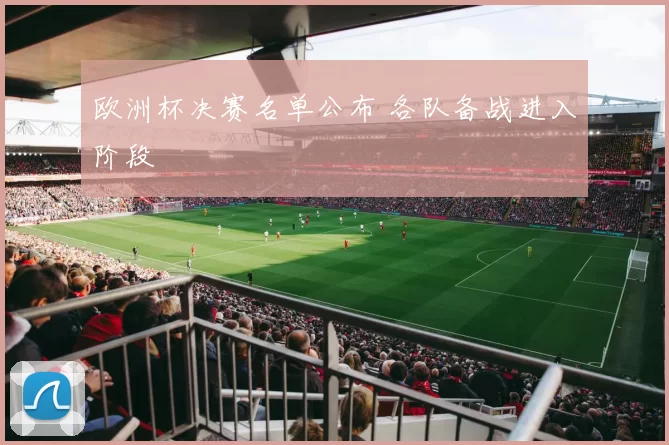 欧洲杯决赛名单公布 各队备战进入阶段