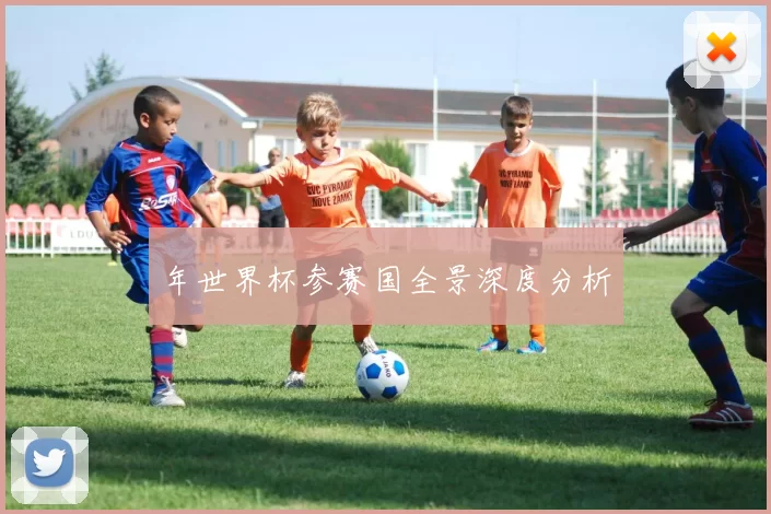 年世界杯参赛国全景深度分析
