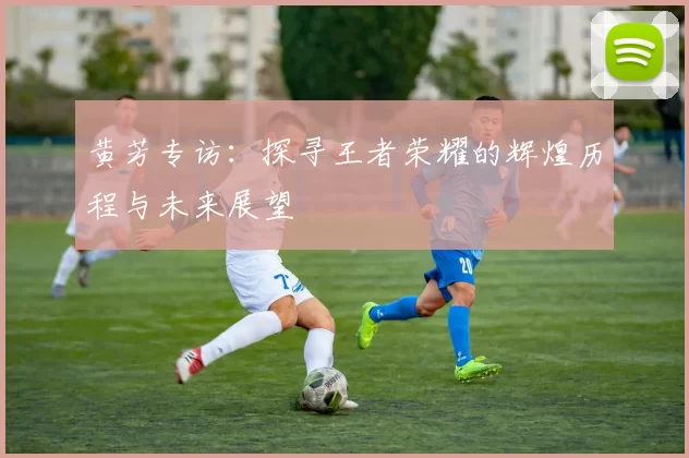 黄芳专访:探寻王者荣耀的辉煌历程与未来展望