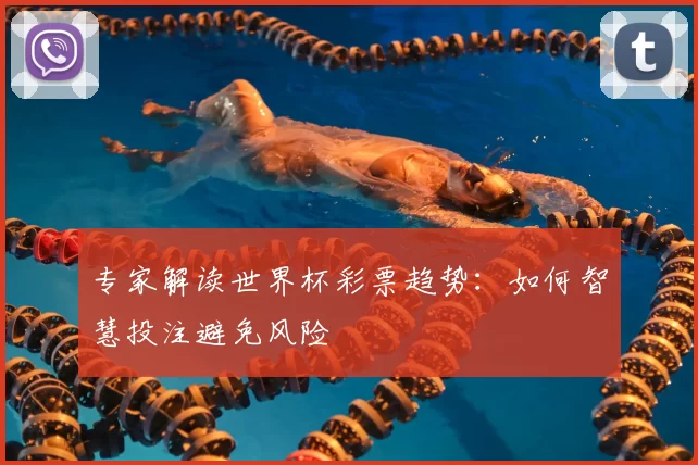 专家解读世界杯彩票趋势:如何智慧投注避免风险