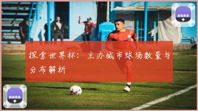 探索世界杯：主办城市球场数量与分布解析