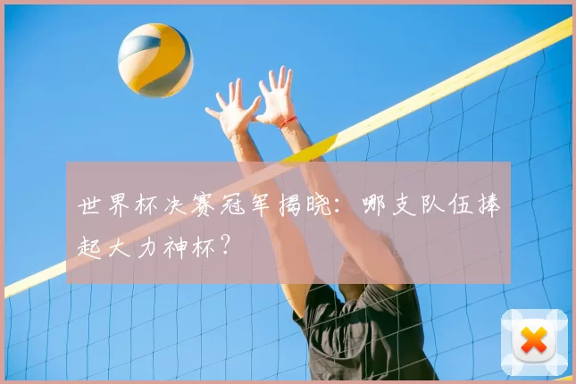 世界杯决赛冠军揭晓:哪支队伍捧起大力神杯?