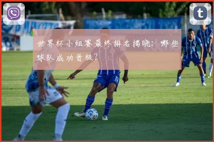 世界杯小组赛最终排名揭晓：哪些球队成功晋级？