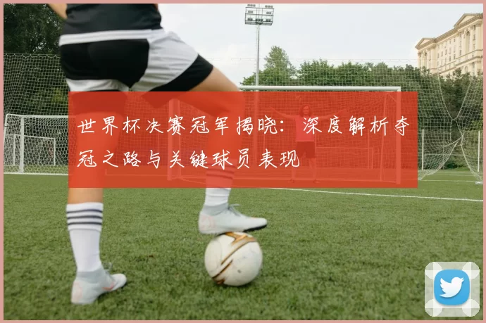 世界杯决赛冠军揭晓:深度解析夺冠之路与关键球员表现