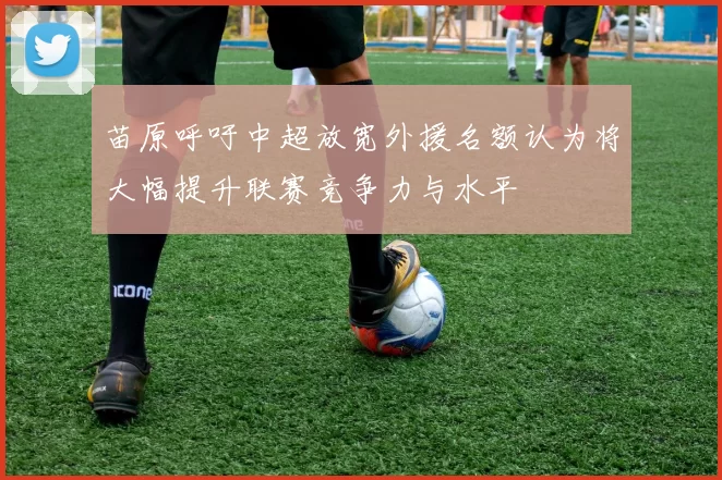 苗原呼吁中超放宽外援名额认为将大幅提升联赛竞争力与水平