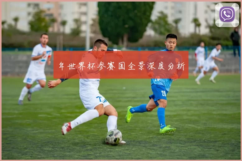 年世界杯参赛国全景深度分析