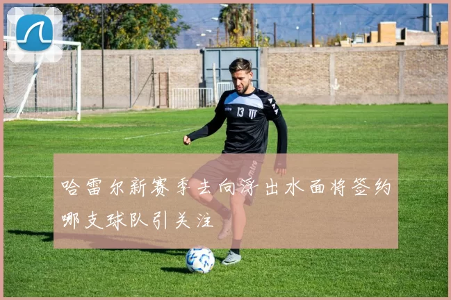 哈雷尔新赛季去向浮出水面将签约哪支球队引关注
