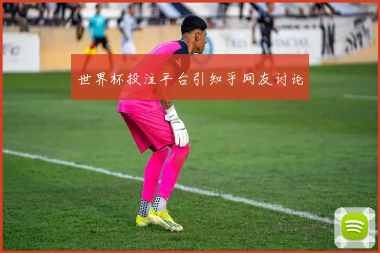 世界杯投注平台引知乎网友讨论
