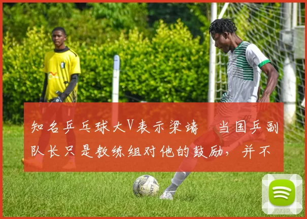 知名乒乓球大V表示梁靖崑当国乒副队长只是教练组对他的鼓励,并不是给他参加洛杉矶奥运会的承诺