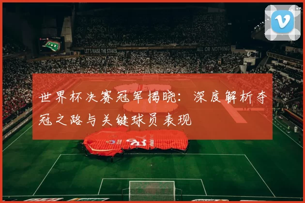 世界杯决赛冠军揭晓：深度解析夺冠之路与关键球员表现