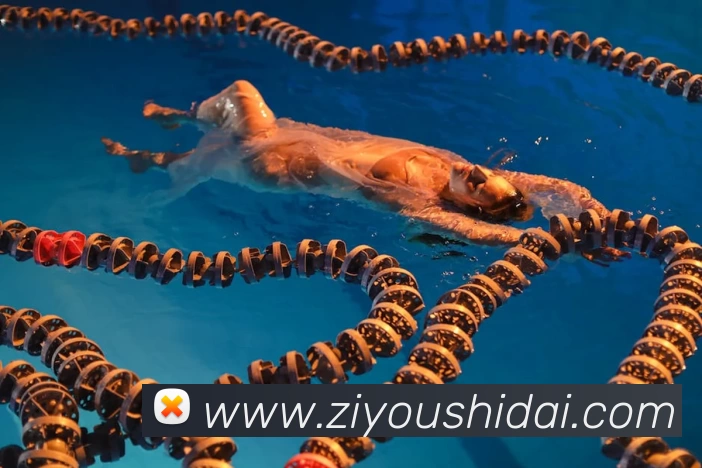 华体会APP 体育赛事宣传图